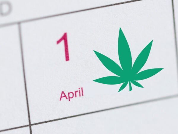 erster April mit einem Cannabisblatt