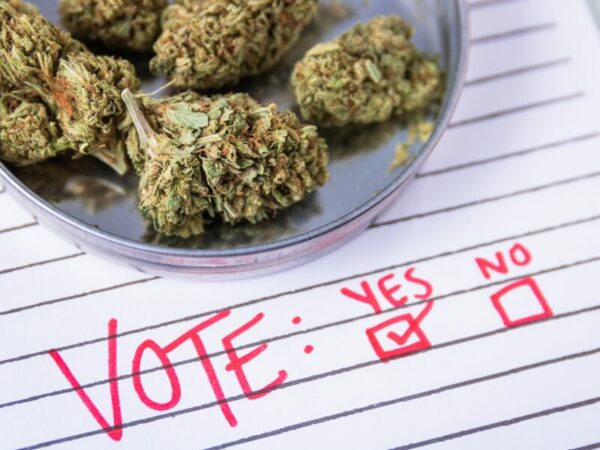 Vote yes or no für das CanG.