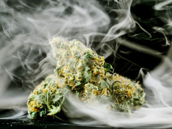 Cannabisblüten umgeben von Rauch