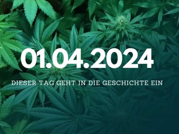 Cannabis ist seit dem 01.04.2024 in Deutschland legal