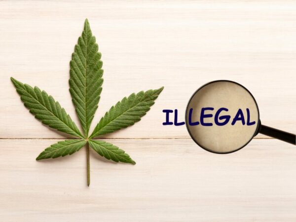 Ein Cannabisblatt und das Wort illegal