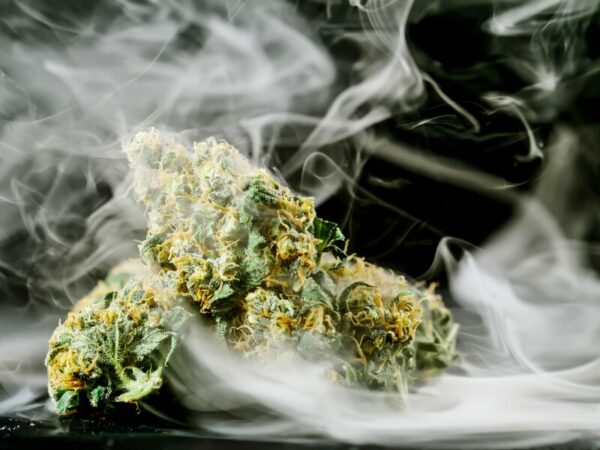 Cannabis Geruch