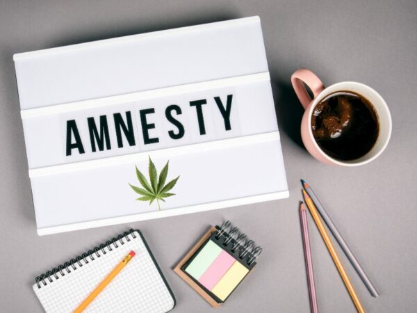 Amnestieregelungen für das neue Cannabigesetz in Deutschland