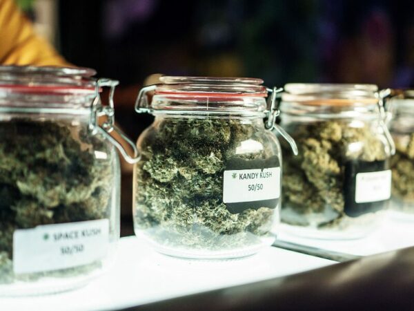 in Säule 2 wird der Verkauf von Konsumcannabis getestet. Hier sieht man Blüten in verschiedenen Gläsern.