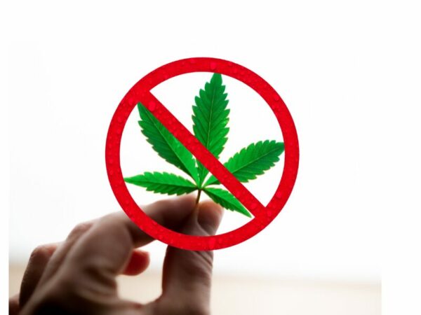 Cannabis Verboten. Erster Anbauverein erhält Absage.