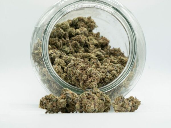 Ein Glas mit einer größeren Menge Cannabisblüten. Die Strafverfolgung der aktuellen Teillegalisierung wird kritisiert.