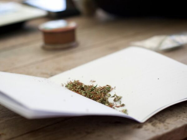 Steht die Zukunft des CanG. mit einem Regierungswechsel auf der Kippe? Hier ist ein aufgeschlagenes Buch mit Cannabis zu sehen.