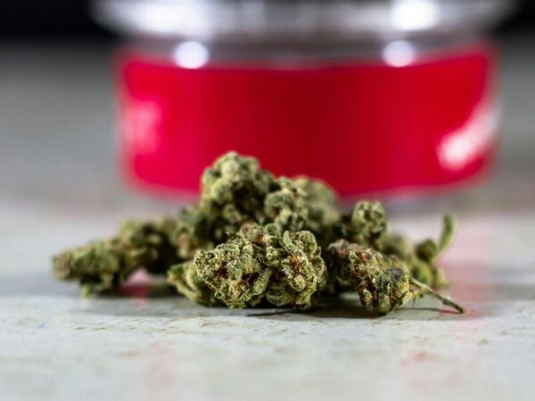 Cannabisblüten. Bei einer Rücknahme der Legalisierung könnte das teuer werden für das Land.
