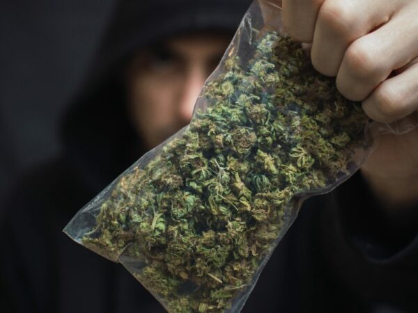 450 kg Cannabis - BGH dreht Freisprechung zurück