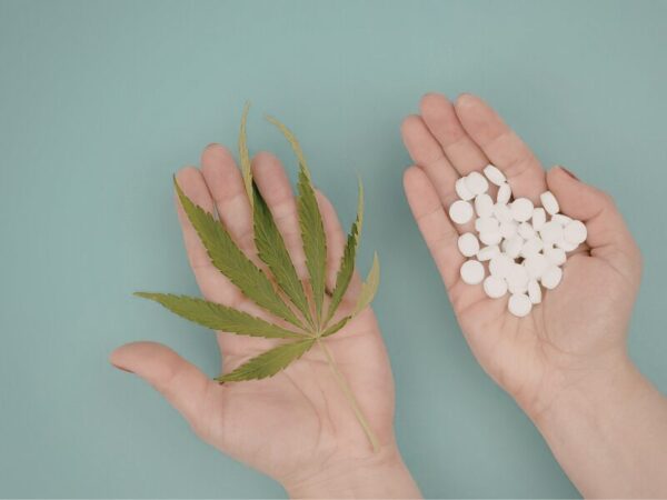 Das neue Cannabisgesetz