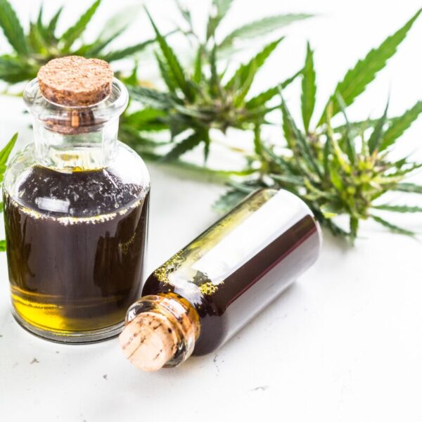 Cannabismedizin. Zwei Fläschen mit Cannabisöl und Cannabisblüten 