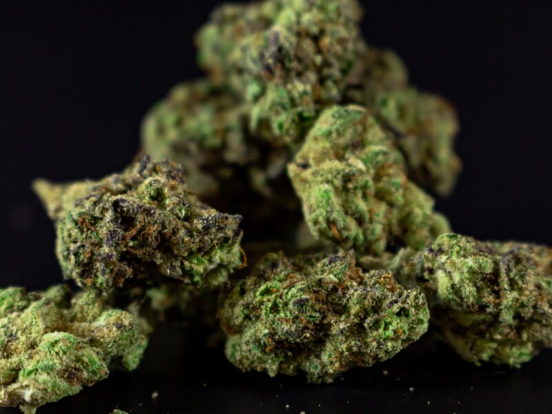 Medizinische CBD-reiche Cannabisblüten in einer Apothekendose