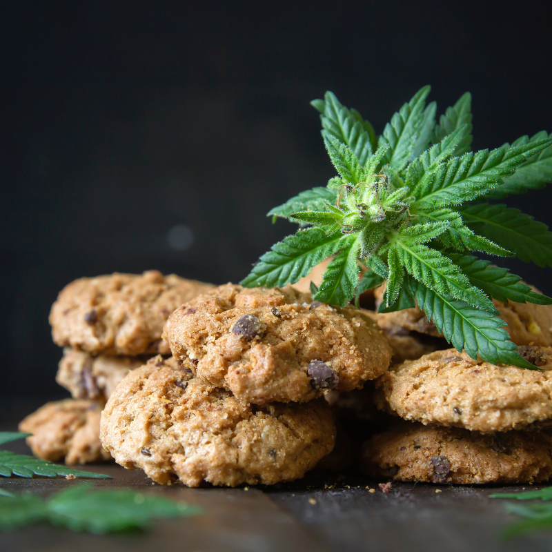 Edibles richtig lagern. Wir zeigen dir wie. Kekse und eine Cannabisblüte ist zu sehen.