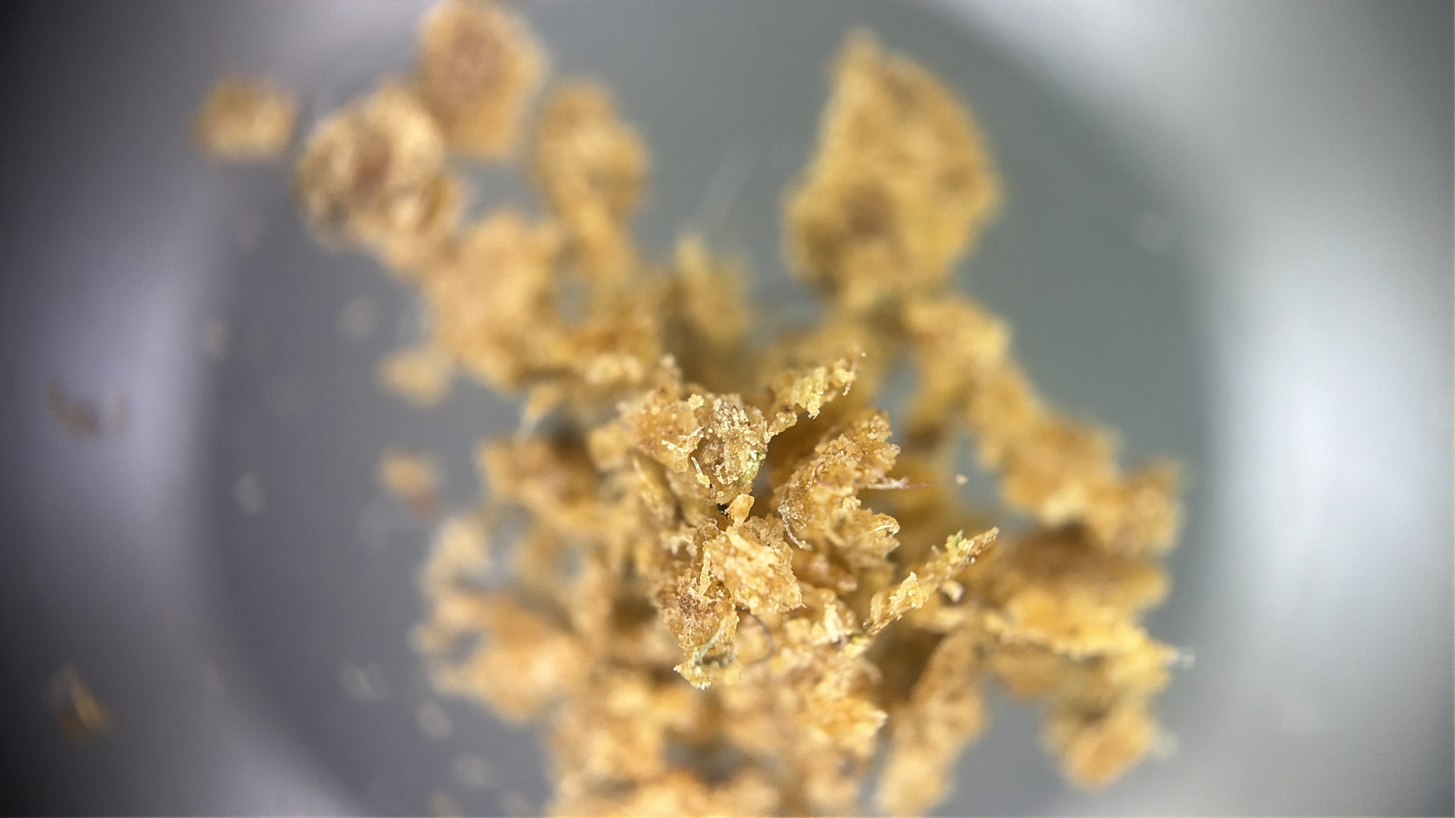 Lockeres, goldbraunes Dry Sift in Nahaufnahme