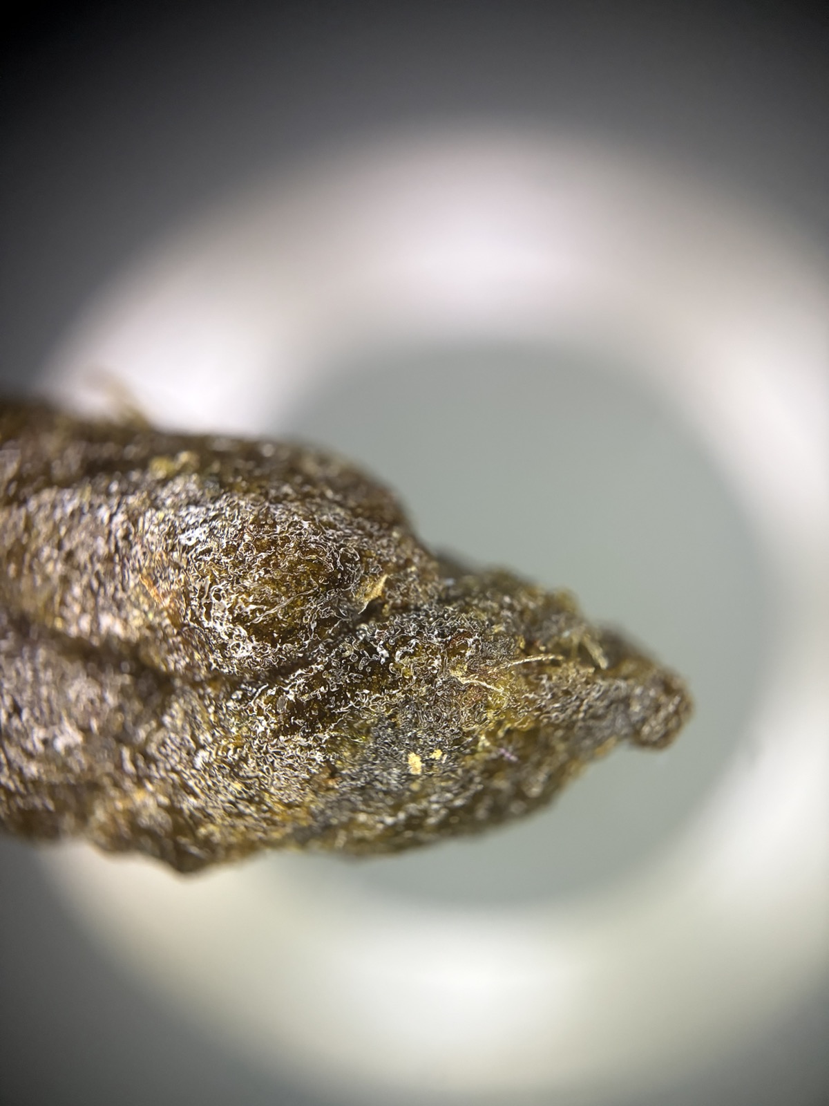 Gepresstes, harzreiches Hasch mit sichtbaren Trichomstrukturen auf der Oberfläche